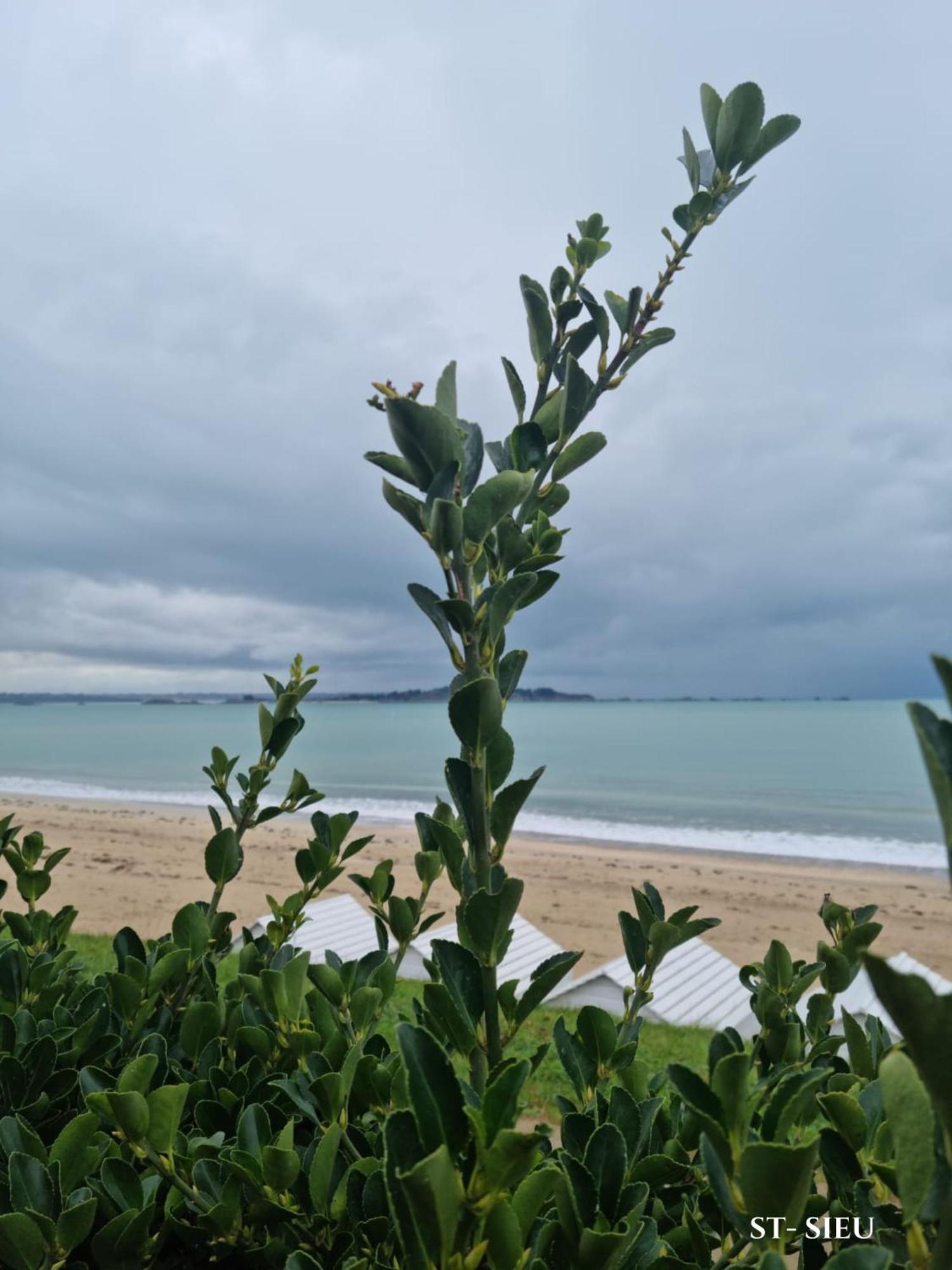 Brise Marine Du Prieure Spacieux Lumineux A 2 Min De La Plage Dinard Zewnętrze zdjęcie
